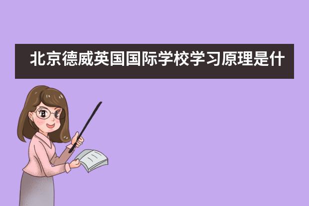 北京德威英国国际学校学习原理是什么？